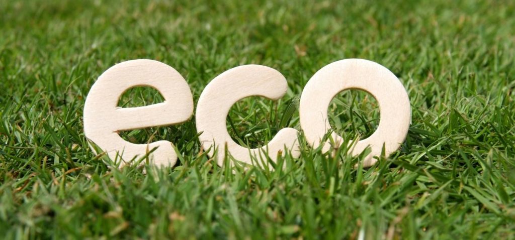 eco accessories made by wood on the grass