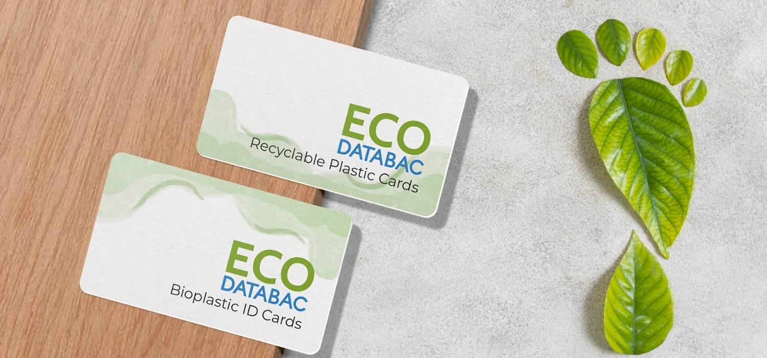 two eco-friendly smart business cards on the wood and leg shaped leaves